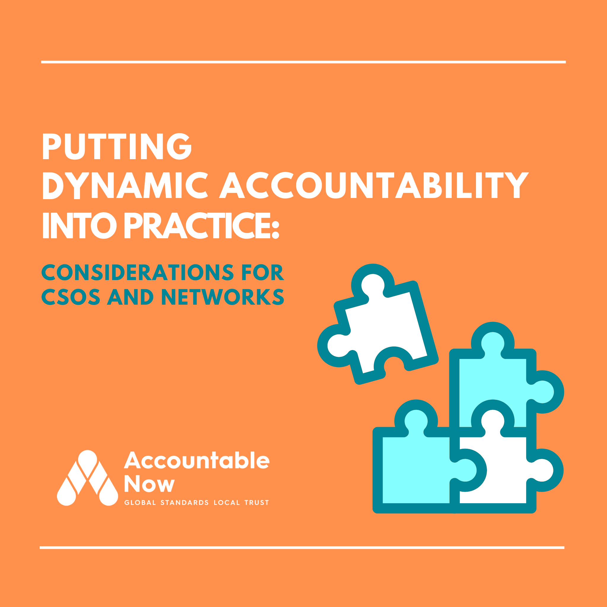 Putting Dynamic Accountability into Practice: Considerations for CSOs and Networks