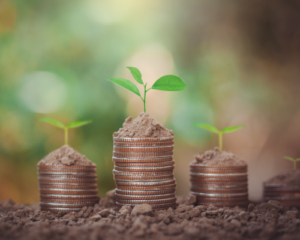 piles of pennies with small green leaves growing out the top