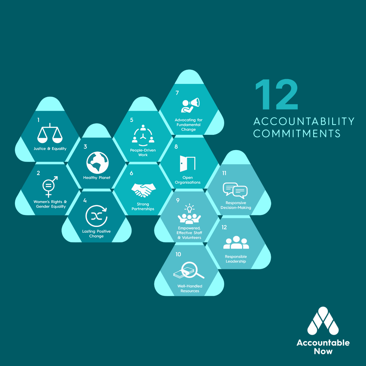 The 12 Accountability Commitments